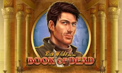 Book of Dead slot by Play'n GO