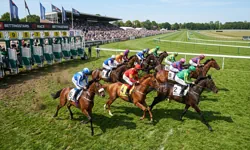 Horse racing betting markets